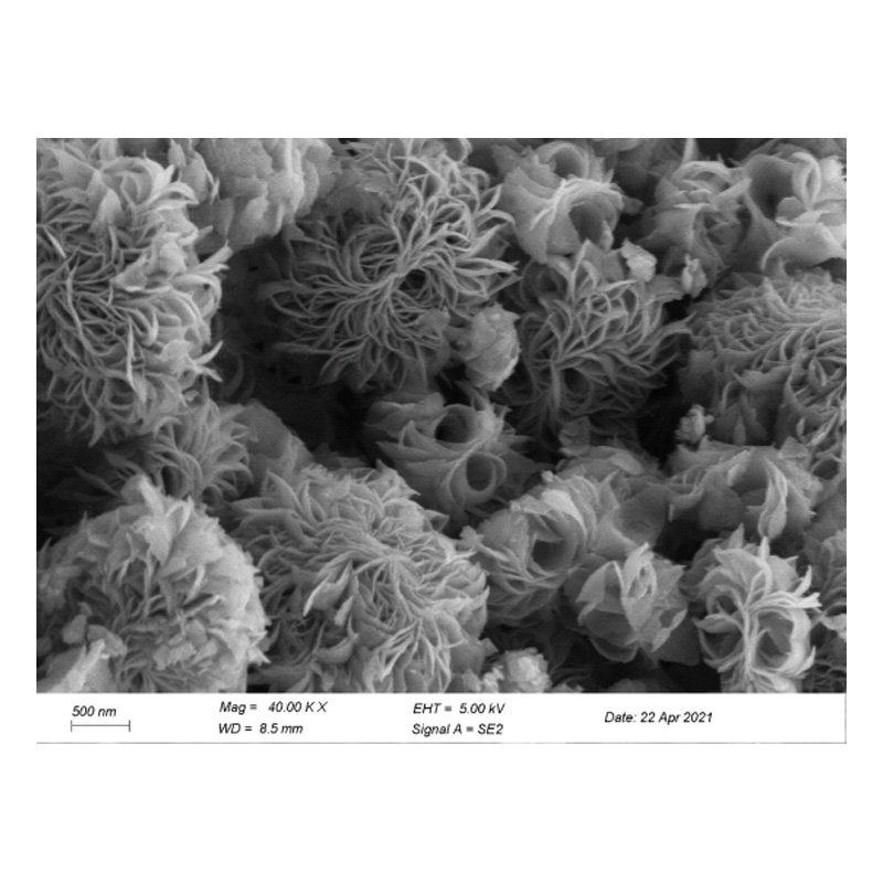扫描电子显微镜(SEM)